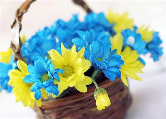 flowers