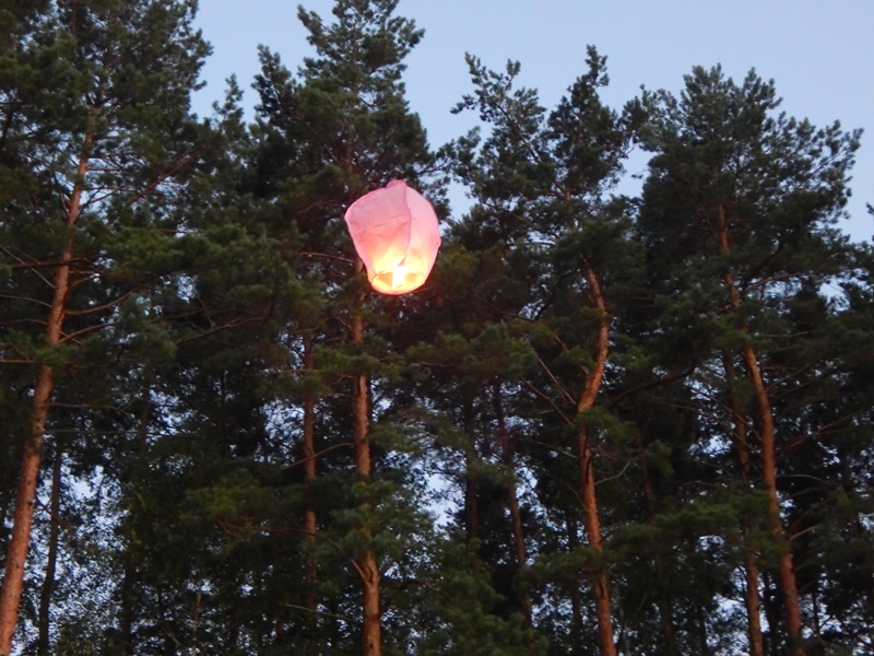 DSCN6069
