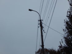 dscn6830