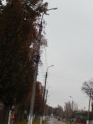 dscn6833