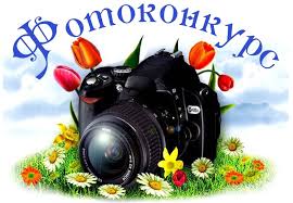 Фотографія
