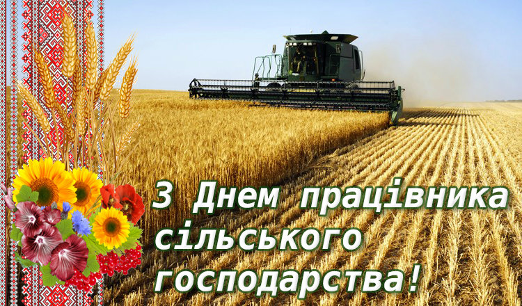 Фотографія
