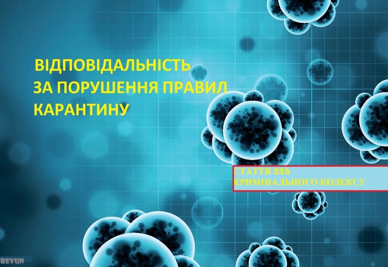Фотографія