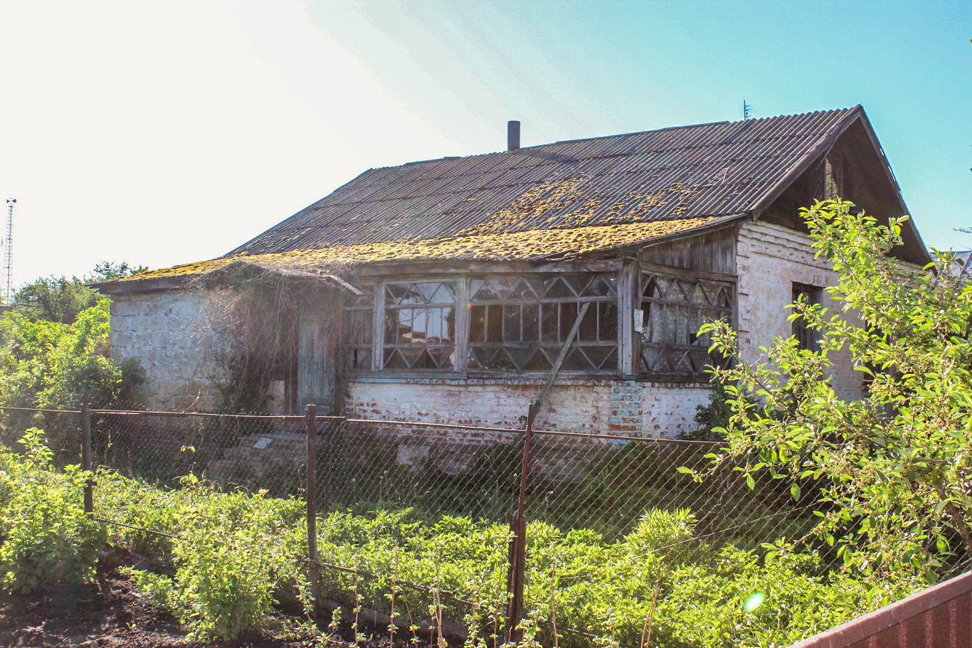 Фотографія