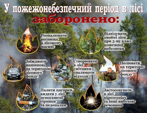 Фотографія