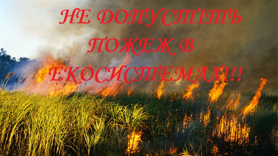 Фотографія