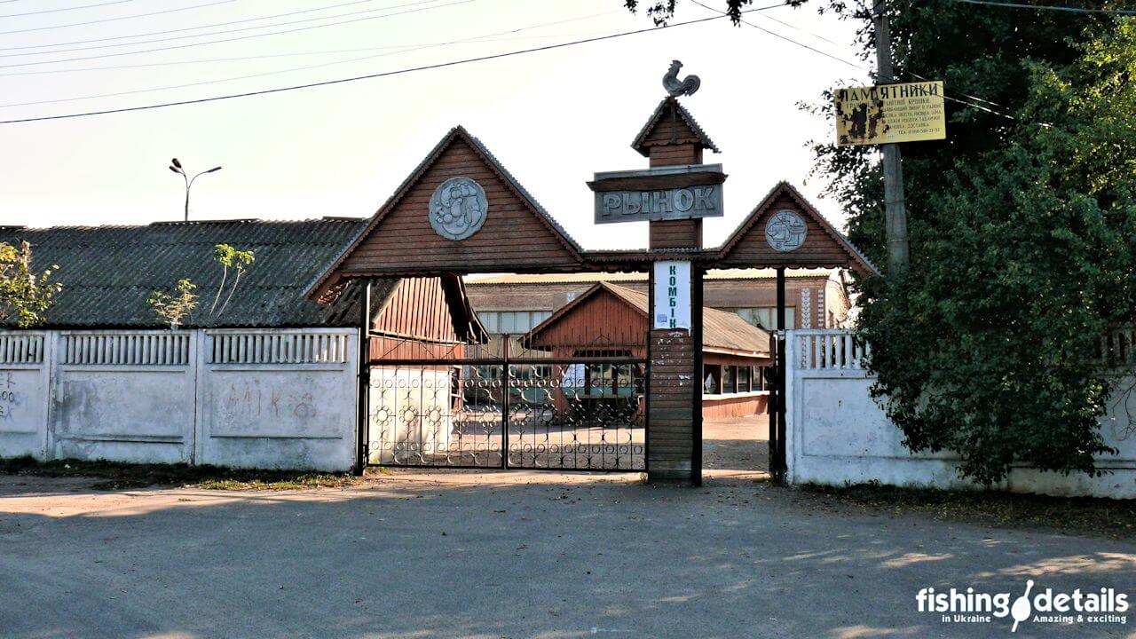 Фотографія