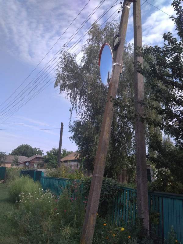 Фотографія
