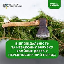 Фотографія