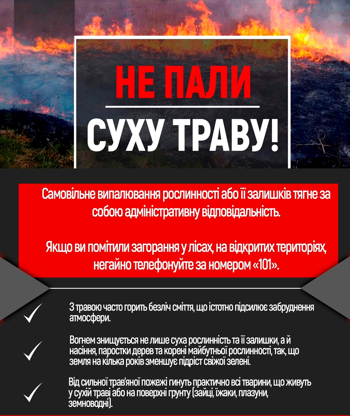 Фотографія