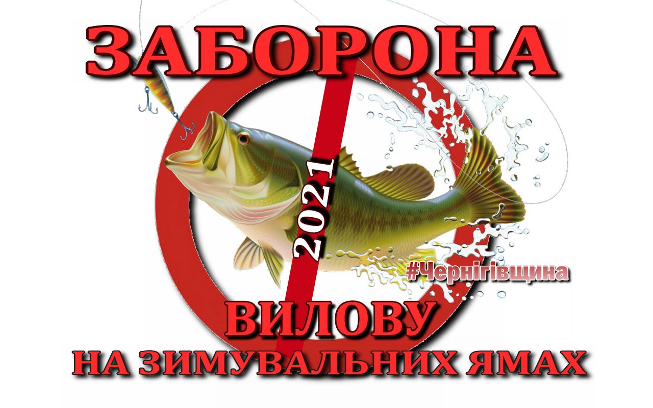 Фотографія