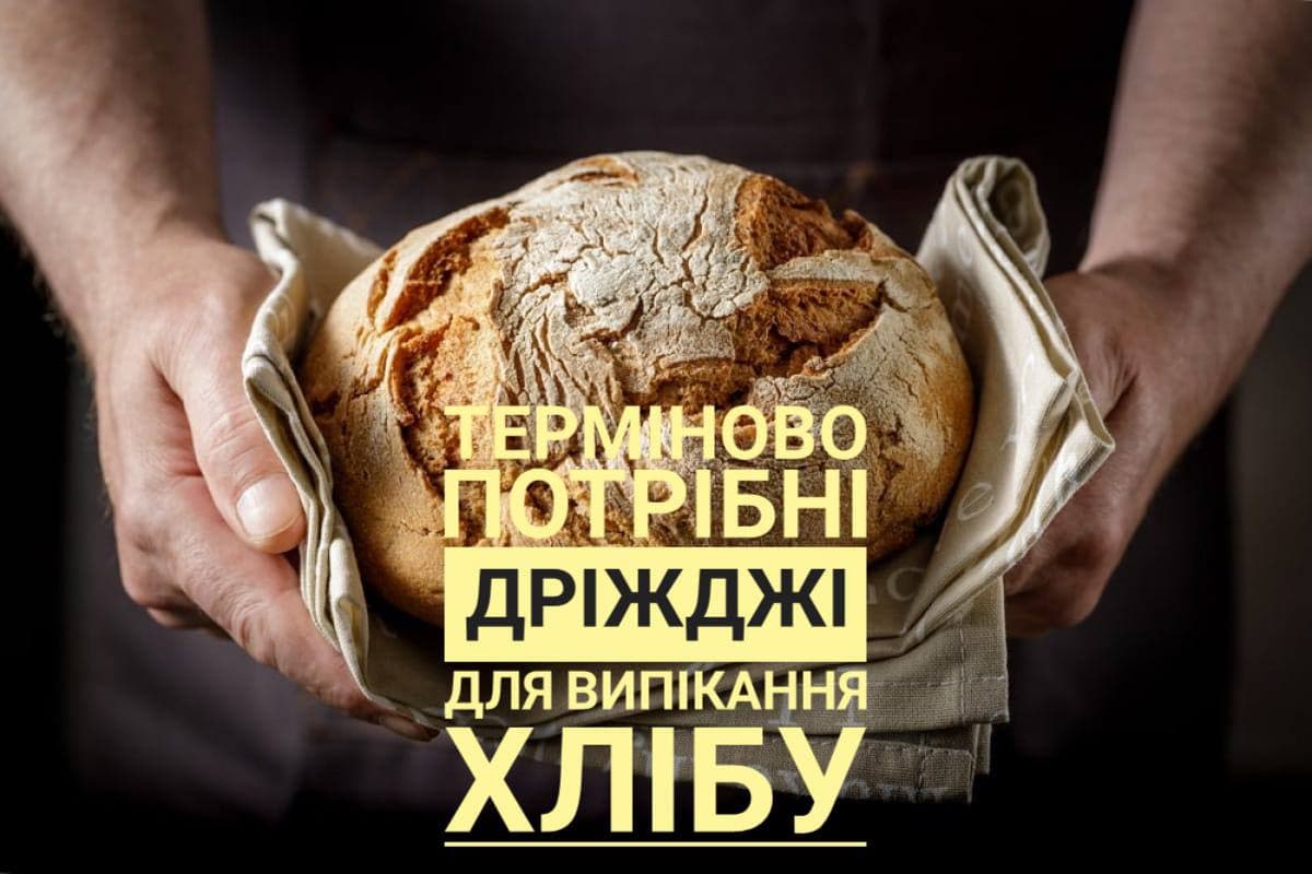 Фотографія