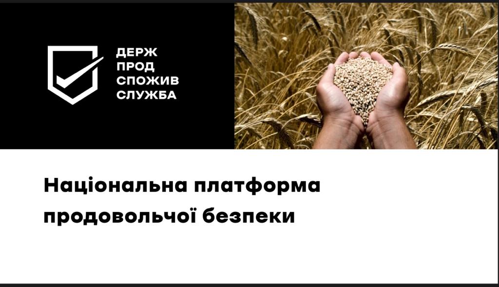 Фотографія
