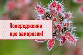 Фотографія