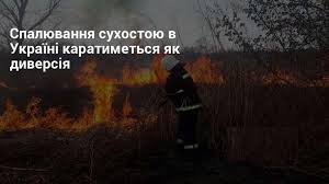 Фотографія