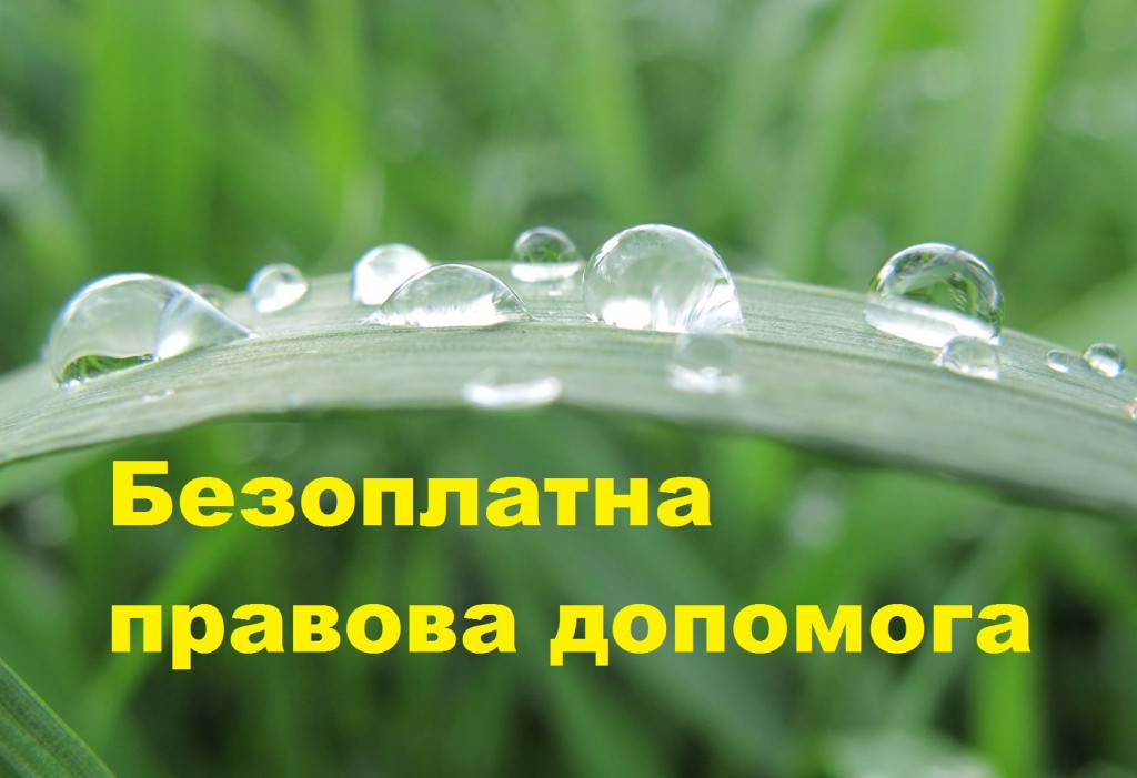 Фотографія