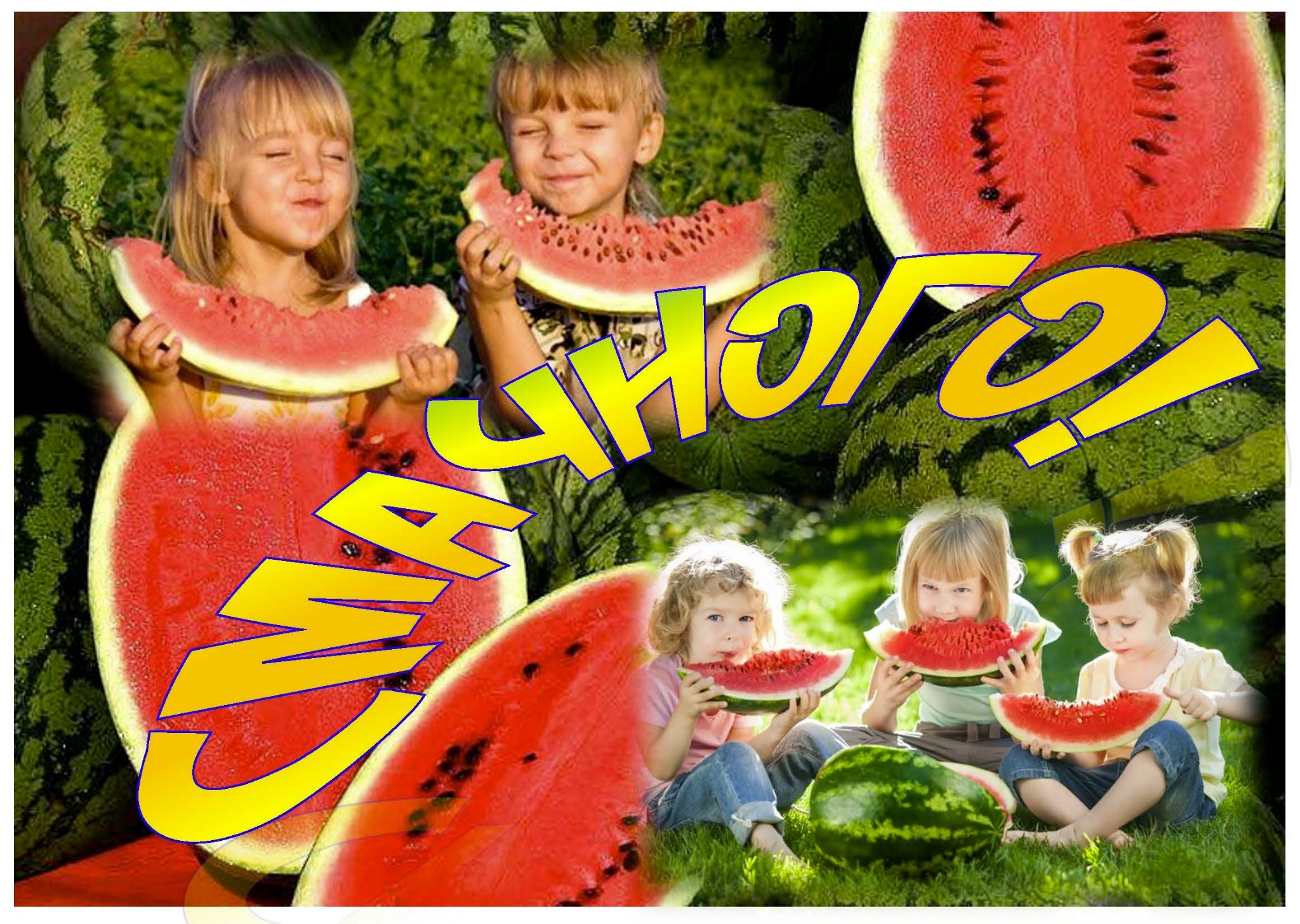 Фотографія