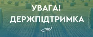Фотографія