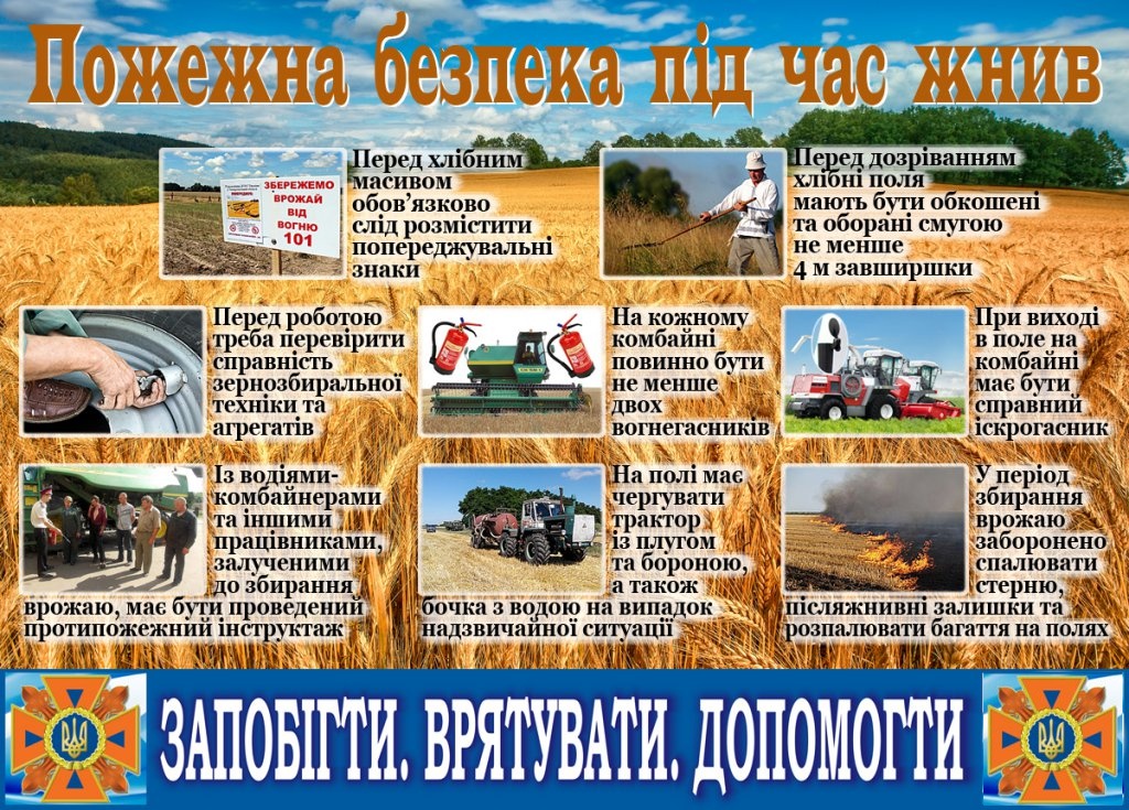 Фотографія
