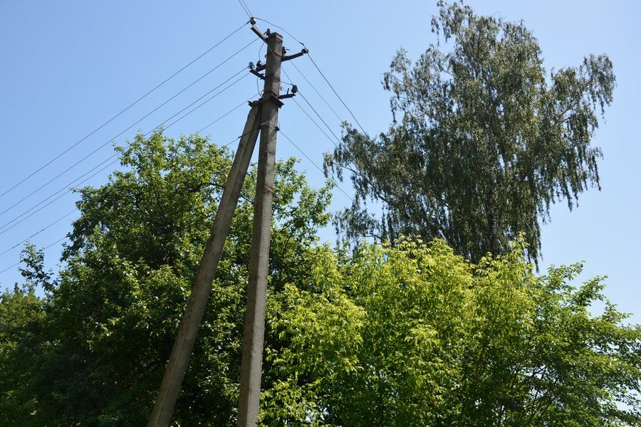 Фотографія