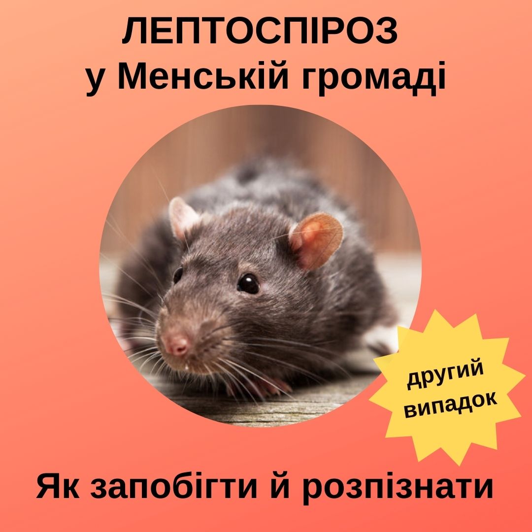 Фотографія