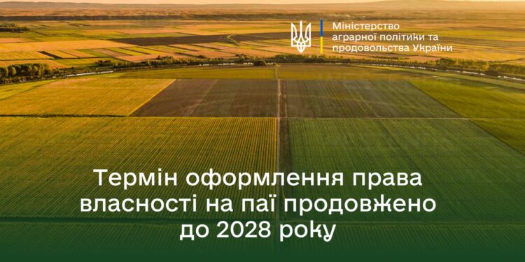 Фотографія