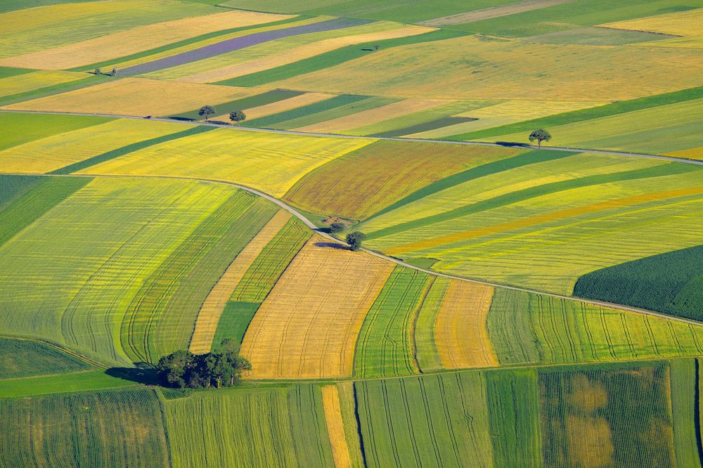 Фотографія