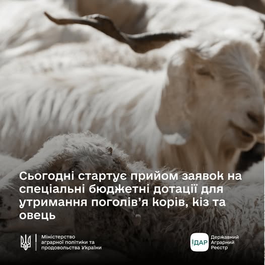 Фотографія