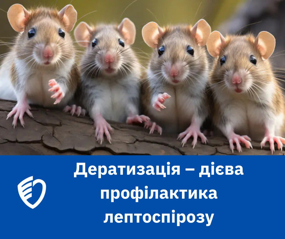 Фотографія