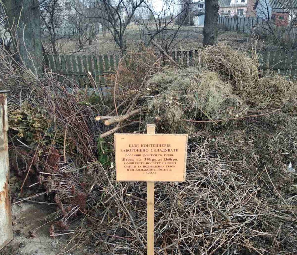 Фотографія