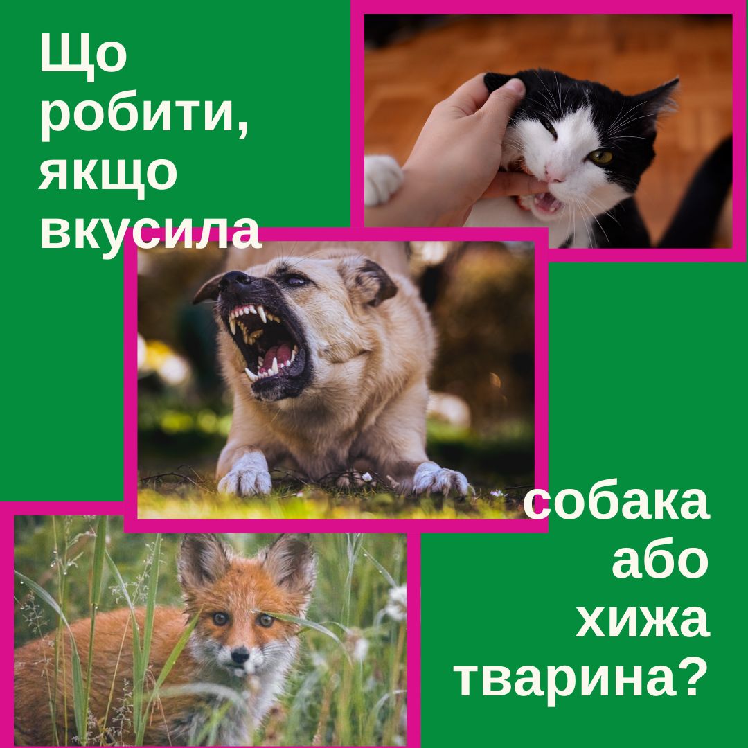 Фотографія