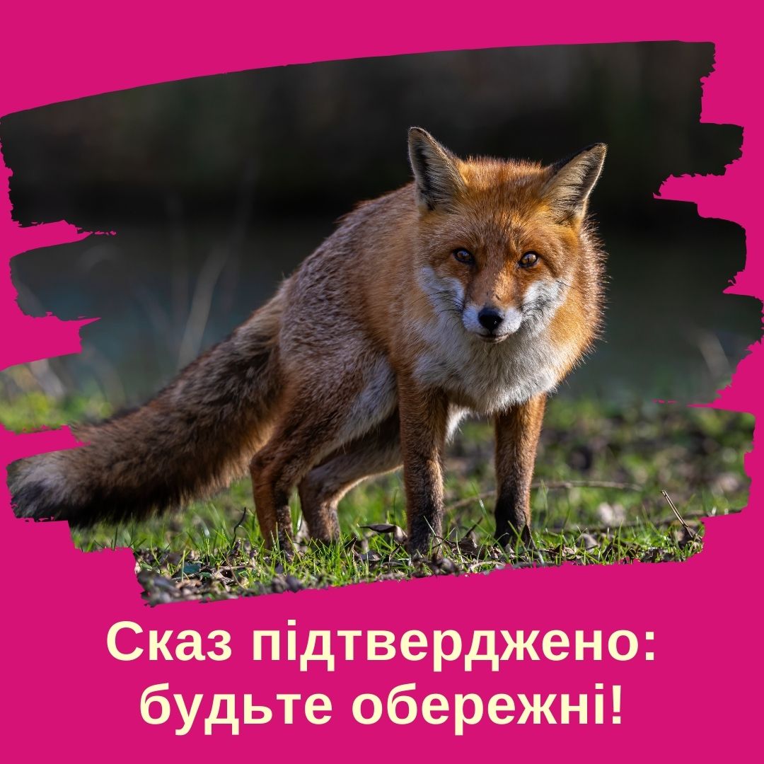 Сказ підтверджено: будьте пильними та обережними!