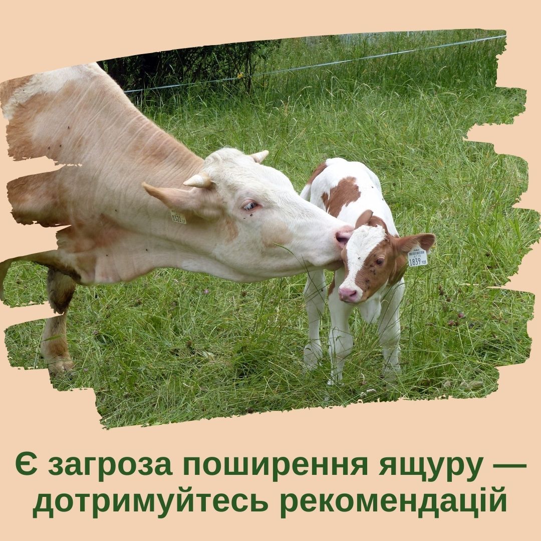Фотографія