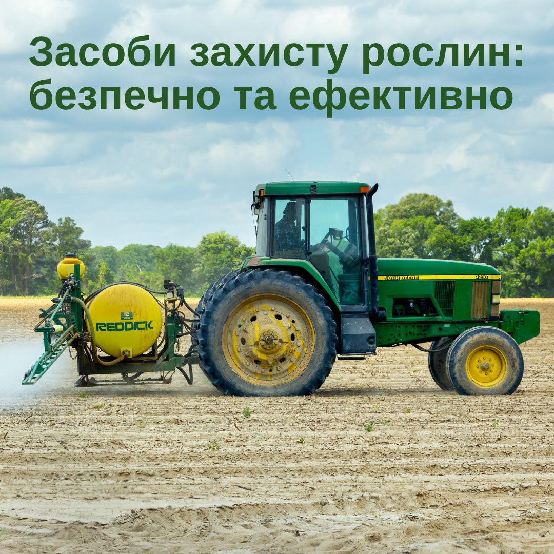 Фотографія