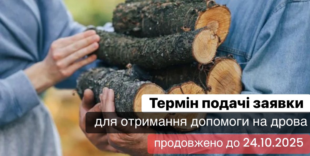 Фотографія одна людина тримає в оберемку дрова, інша їх підтримує руками
