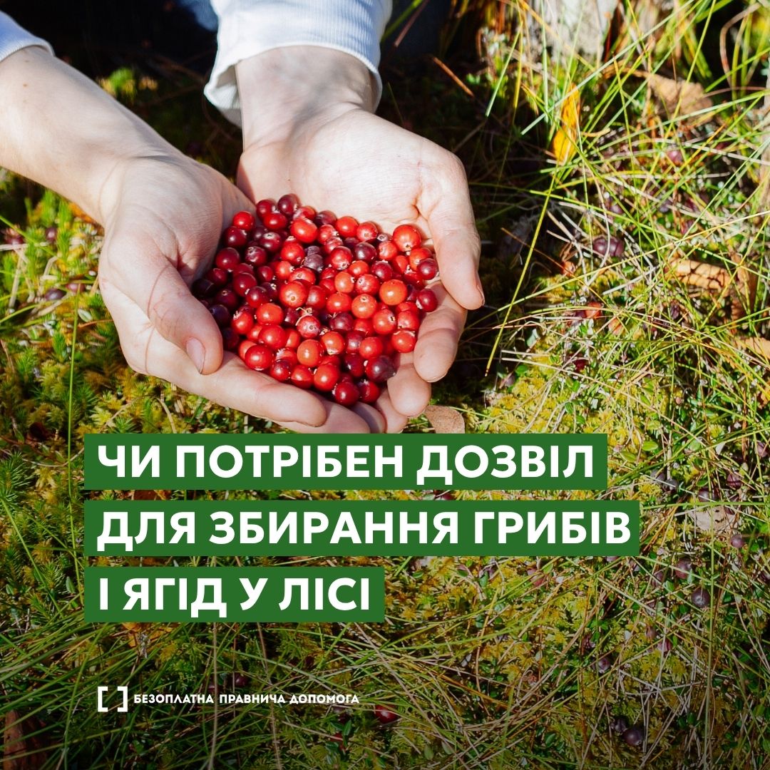 Фотографія ягоди в долонях