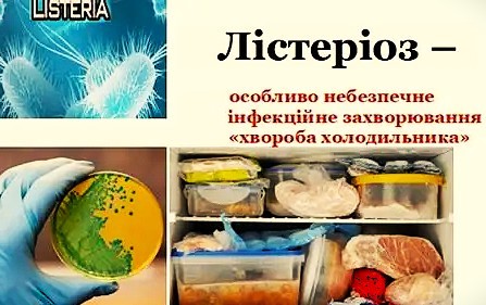 Фотографія харчі в холодильнику та під мікроскопом