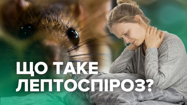 Фотографія