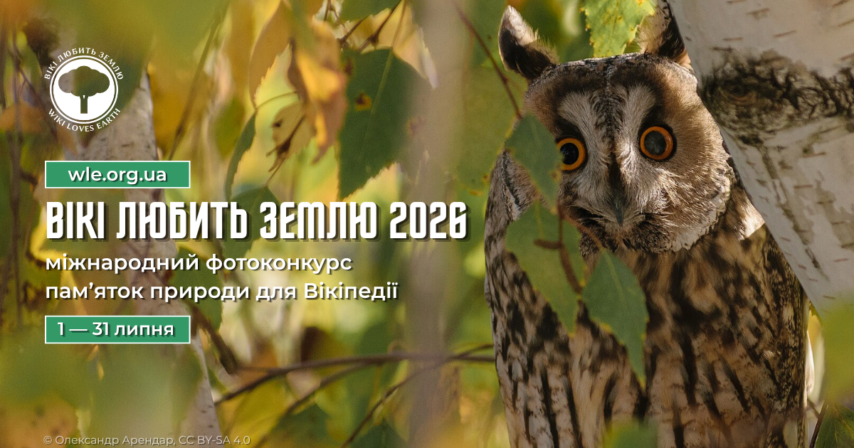 Фотографія зліва текст, справа сова на дереві
