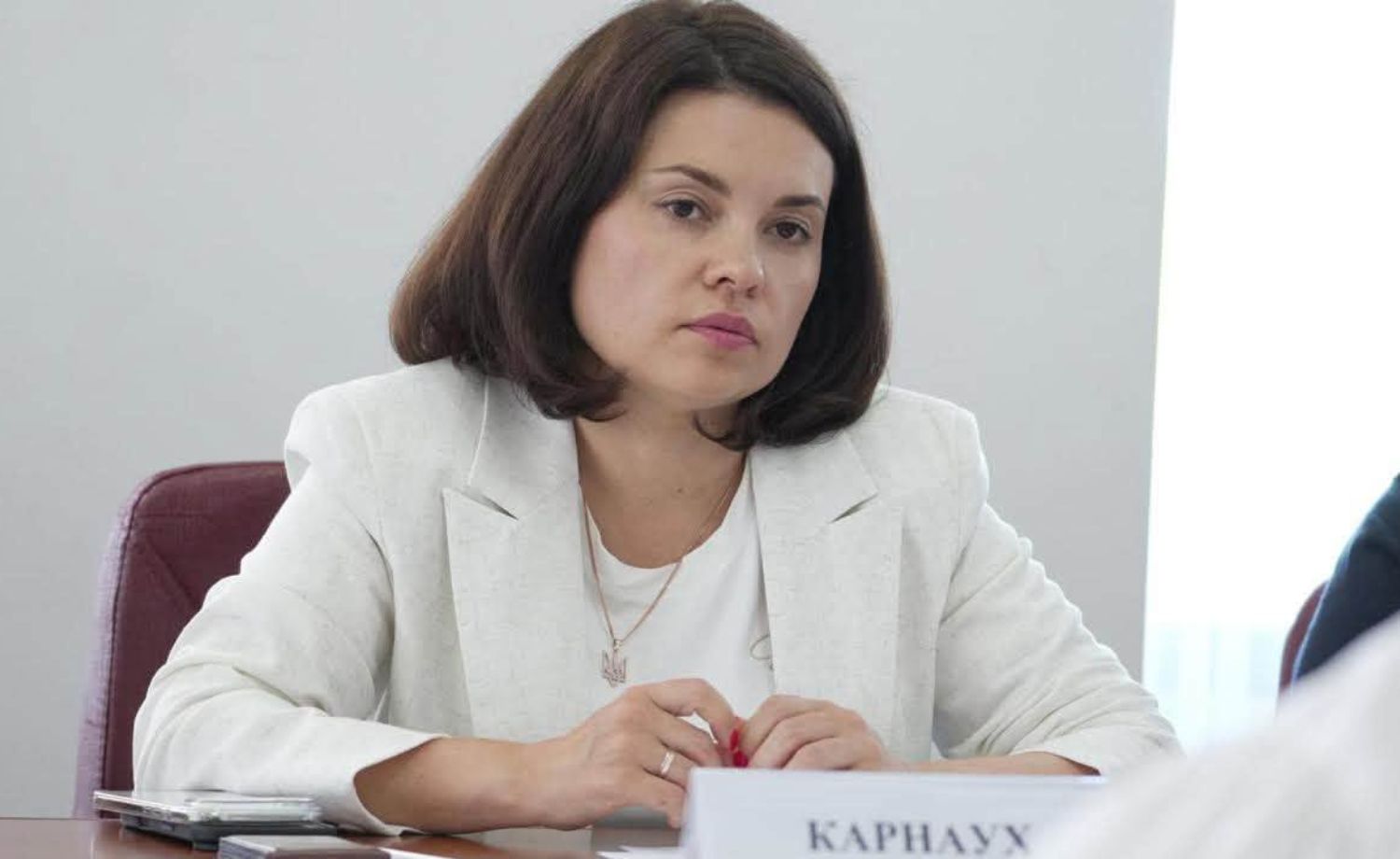 Фотографія очільниця ДПС Леся Карнаух під час зустрічі з Головою Державного агентства розвитку туризму України